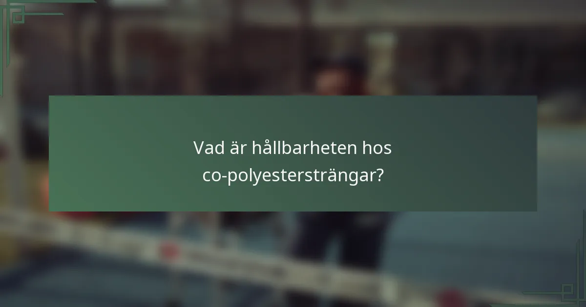 Vad är hållbarheten hos co-polyestersträngar?