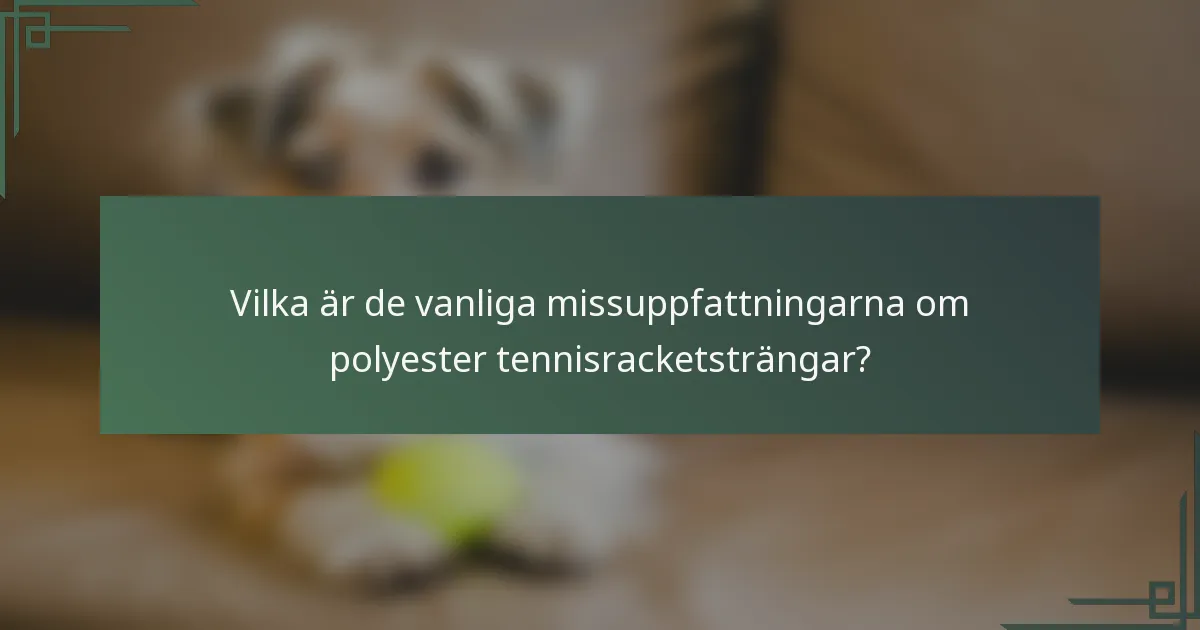 Vilka är de vanliga missuppfattningarna om polyester tennisracketsträngar?